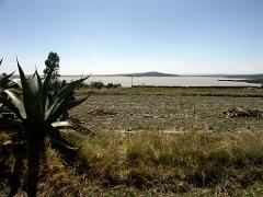 100302_Zacatec 032